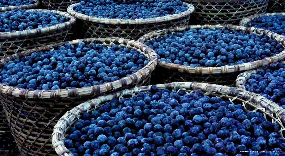 智能水與超級(jí)食品包裝設(shè)計(jì)(圖6)