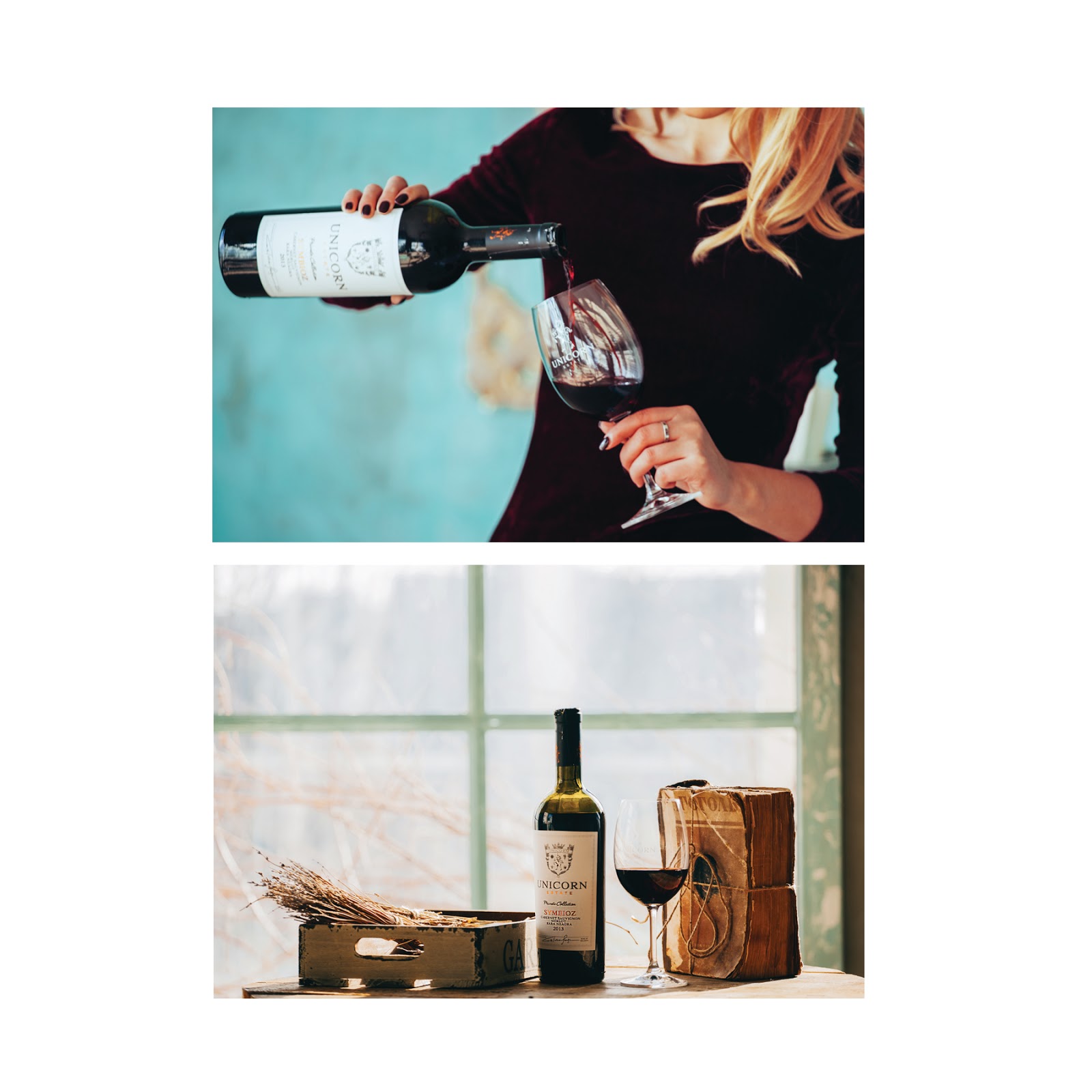 濰坊紅酒包裝設計(圖3)