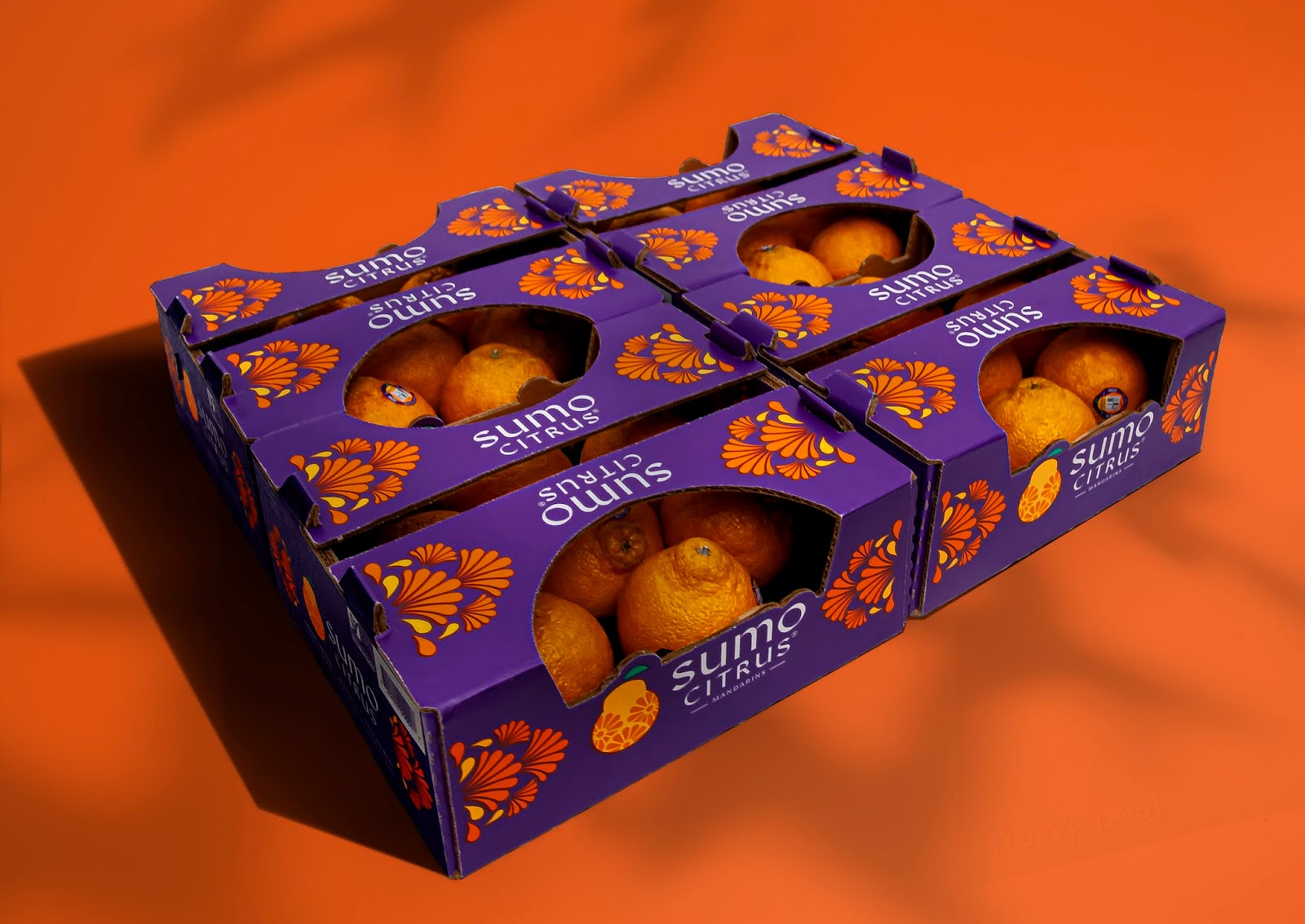 包頭水果品牌包裝設(shè)計(jì)非常有吸引力(圖4)