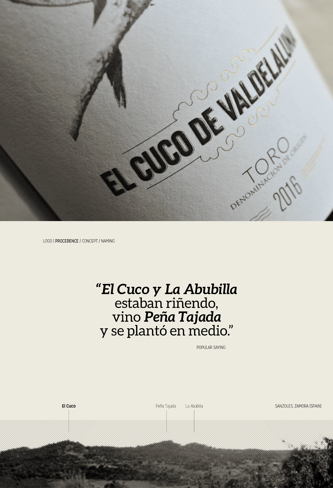 濟(jì)寧葡萄酒包裝設(shè)計(jì)簡(jiǎn)約時(shí)尚(圖3)