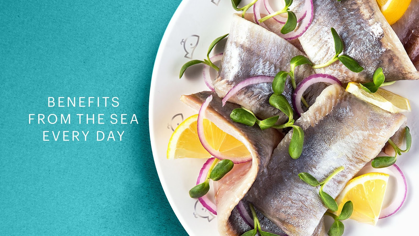 海產(chǎn)品包裝設(shè)計(jì)欣賞(圖2)