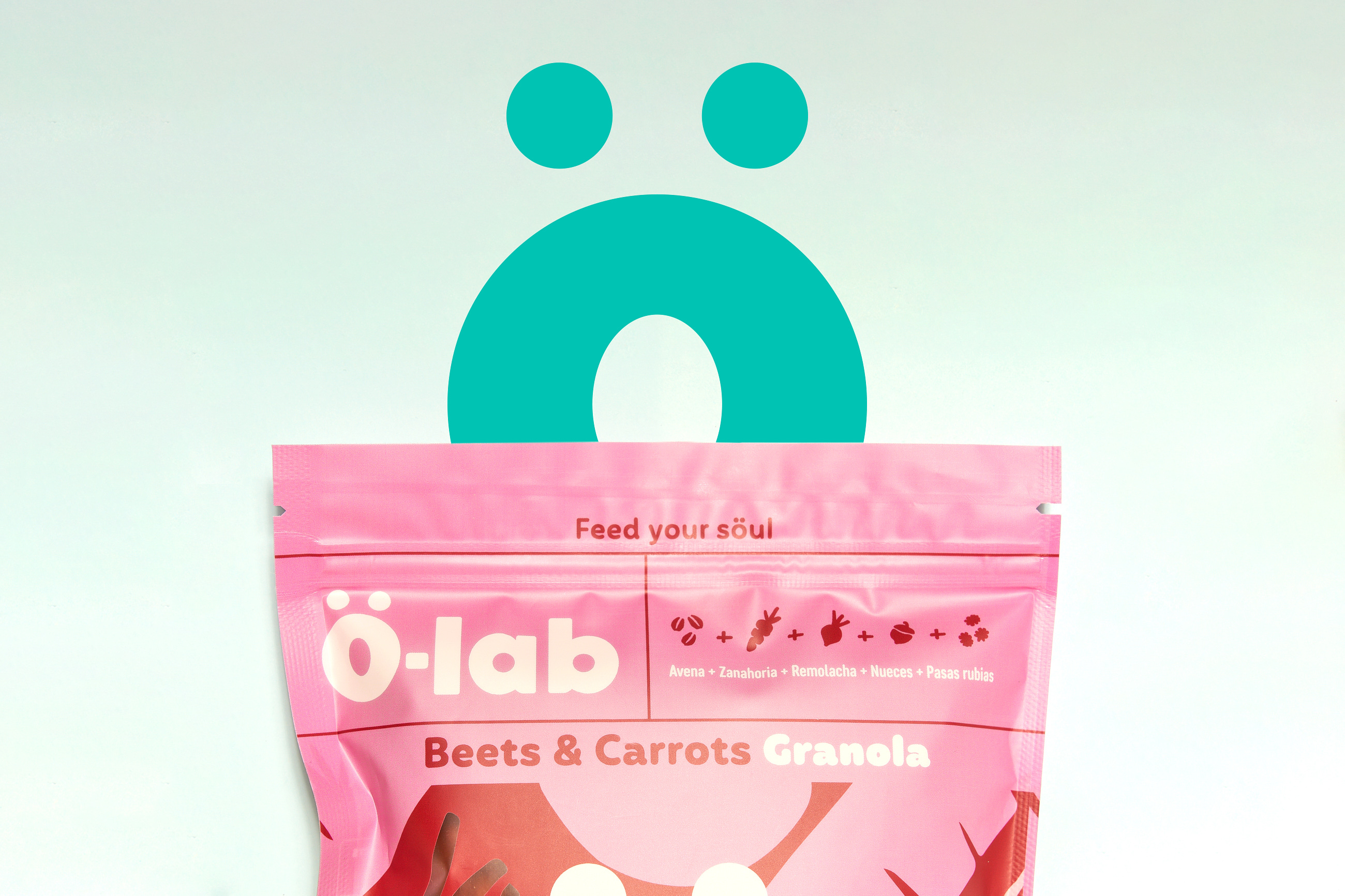 食品包裝策劃設(shè)計作品欣賞(圖8)