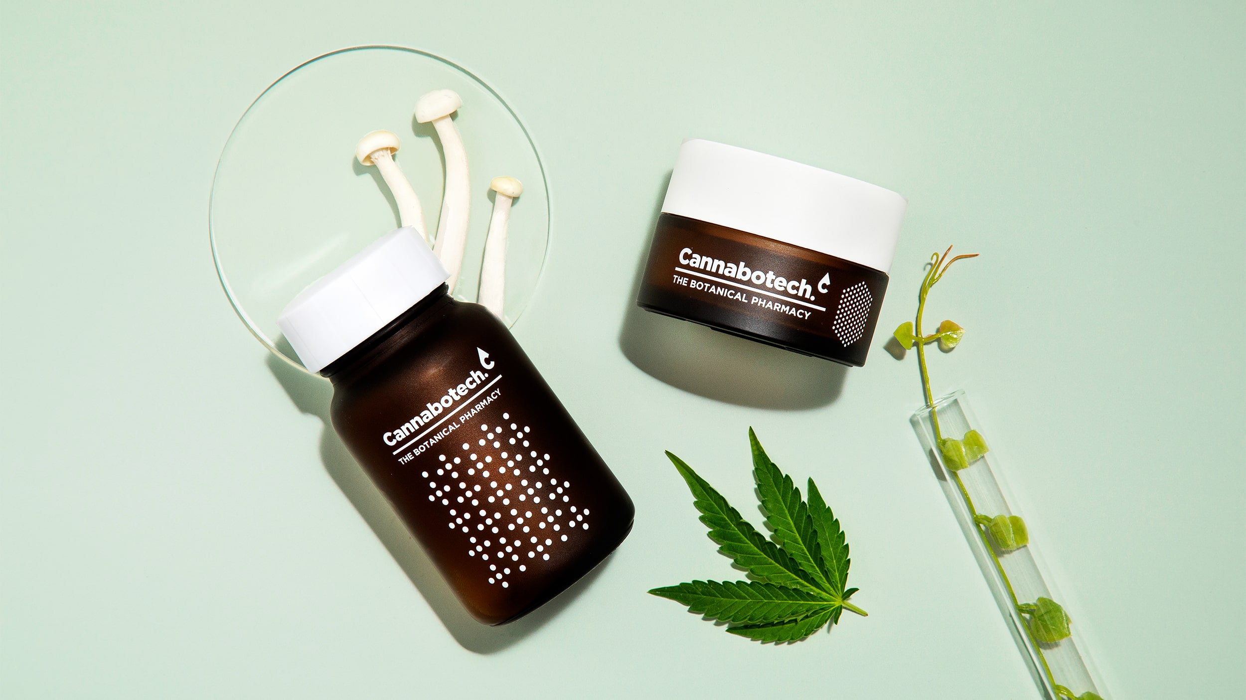 優(yōu)質(zhì)品牌植物護(hù)理產(chǎn)品包裝設(shè)計(jì)欣賞(圖3)