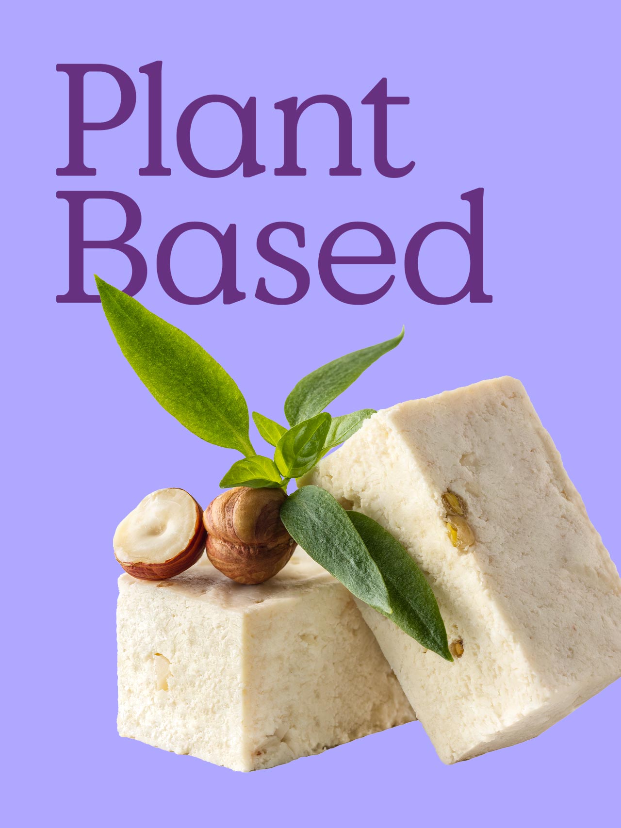 植物奶酪品牌視覺(jué)識(shí)別包裝設(shè)計(jì)(圖2)