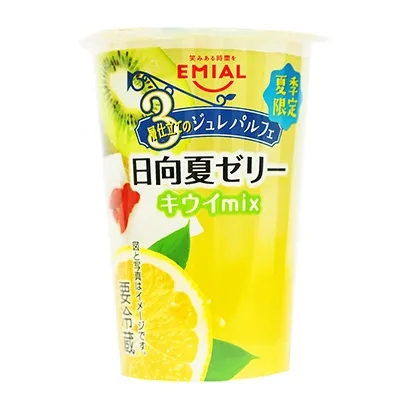 水果酸奶冰淇淋產(chǎn)品包裝設(shè)計(圖5)