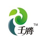 壬騰品牌logo設(shè)計(jì)欣賞與分析(圖1)
