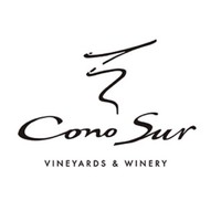 柯諾蘇品牌故事-logo設(shè)計(jì)分析(圖1)