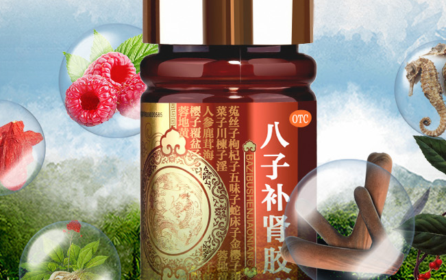 以嶺藥業(yè) 以嶺藥業(yè)品牌logo與食品包裝設(shè)計欣賞(圖2)