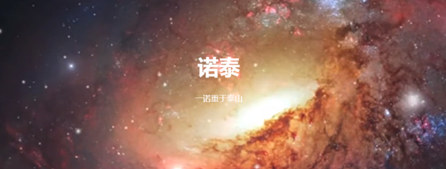 諾泰 諾泰品牌logo與食品包裝設(shè)計欣賞(圖3)