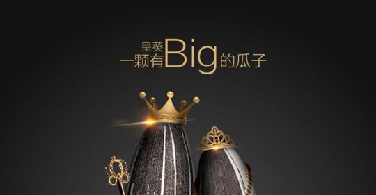 洽洽品牌logo與食品包裝設(shè)計(jì)欣賞(圖3)