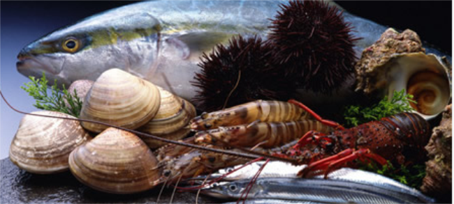 宇輝品牌logo與食品包裝設(shè)計(jì)欣賞(圖2)