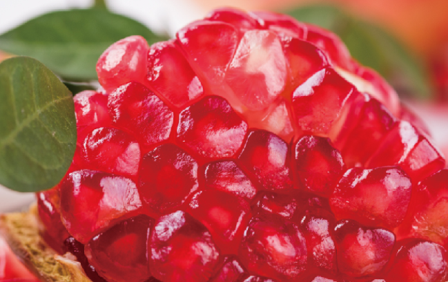 洪九果品品牌logo與食品包裝設(shè)計(jì)欣賞(圖4)