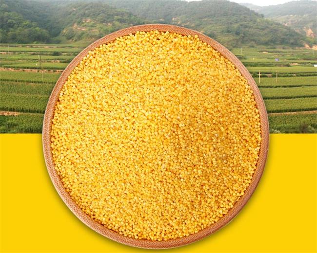 liangjiahe梁家河食品包裝設計欣賞(圖4)