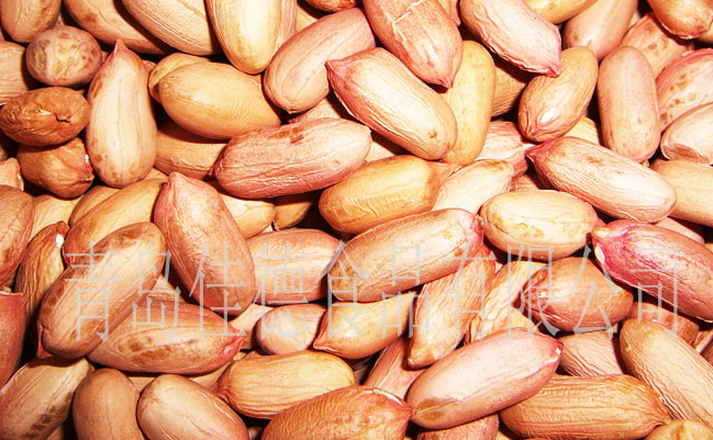 德之味食品包裝設(shè)計(jì)欣賞(圖4)