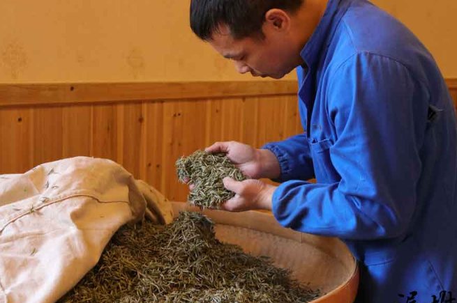 白毫銀針食品包裝設(shè)計(jì)欣賞(圖3)