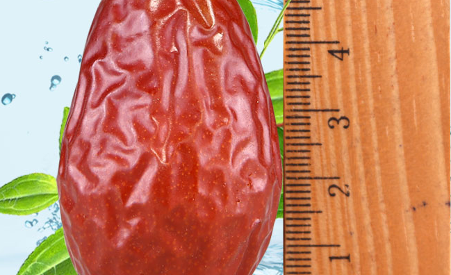 樹德食品包裝設計欣賞(圖4)
