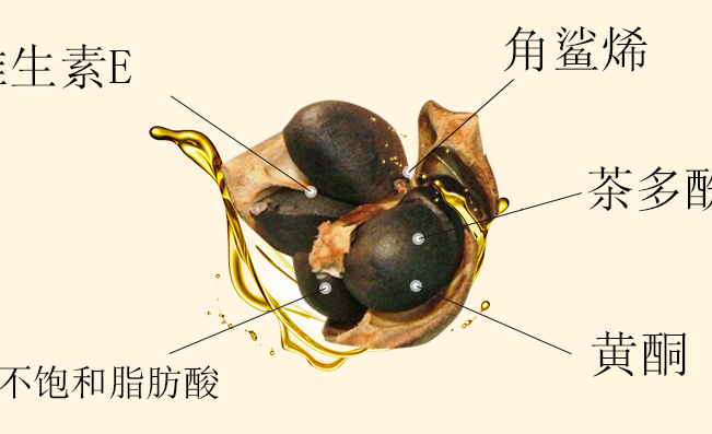 齊云山食品包裝設(shè)計(jì)欣賞(圖4)